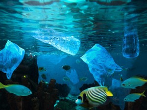 BRIN Temukan Mikroplastik hingga Kedalaman 2.450 Meter di Laut RI