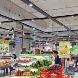 Ada Diskon 50%+20%, Anggur Muscat Cuma Segini di Transmart