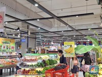 Ada Diskon 50%+20%, Anggur Muscat Cuma Segini di Transmart
