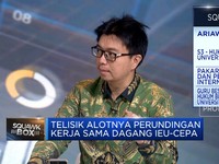 8 Tahun Perundingan Dagang RI-Uni Eropa Belum Selesai, Apa Masalahnya?