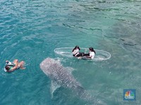 5 Rekomendasi Wisata di Gorontalo: Hiu Paus hingga Benteng Bersejarah