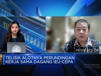 IEU-CEPA Dinanti, Apindo Minta Tak Ada Diskriminasi Produk RI di Eropa