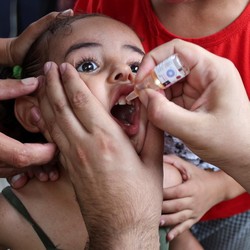 Potret Vaksinasi Polio untuk Anak-Anak di Gaza
