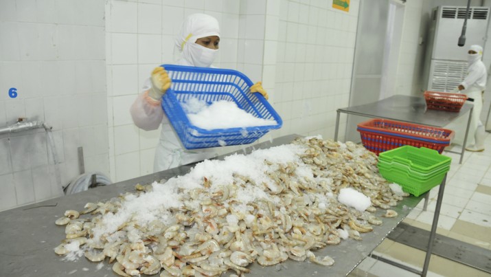 Udang. (Dok Kementerian KKP)