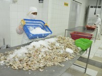 Udang RI Masih Dijegal AS, KKP Bersiap Ajukan Banding