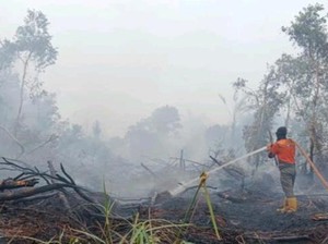 Karhutla di Muara Enim Sudah Lima Hari, Luas Terbakar 25 Hektare