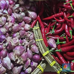 BPS Ungkap Bawang Merah-Daging Ayam Kerek Harga Pangan di Wilayah Ini