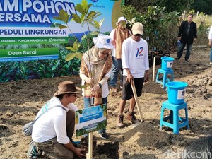 Dorong Pengurangan Emisi, AirNav Tanam 1.000 Bibit Pohon Nangka di Desa Burai