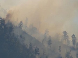 Hutan di Kawasan TNBTS Terbakar, Pemadaman Masih Berlangsung