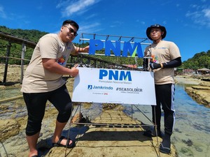 PNM Peduli Tanam Ribuan Pohon Mangrove-Terumbu Karang di Kalimantan