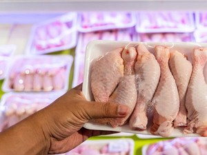 5 Kesalahan Menyimpan Ayam di Kulkas Ini Picu Risiko Kesehatan