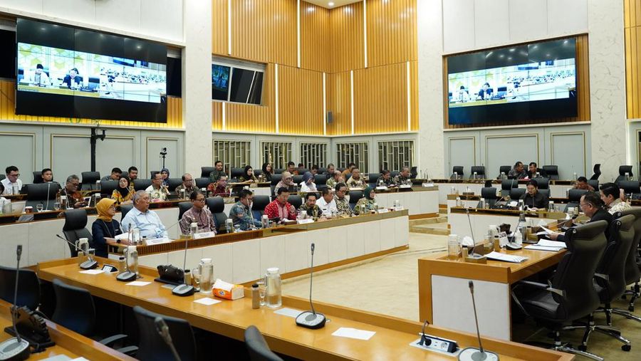 Komisi IV DPR RDP dengan Kepala Badan Pangan Nasional, Bapanas, (Dok Bapanas)