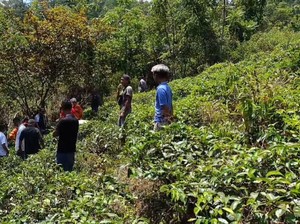 Hilang 2 Hari, Anen Ditemukan Tewas di Kebun Teh Sumedang