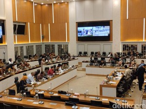 Anggota DPR Kritik Kepala Bapanas Soal Tambahan Anggaran Impor Jagung