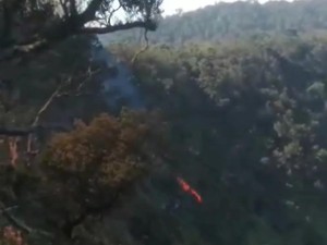 Kawasan Hutan di Gunung Tangkuban Parahu Terbakar