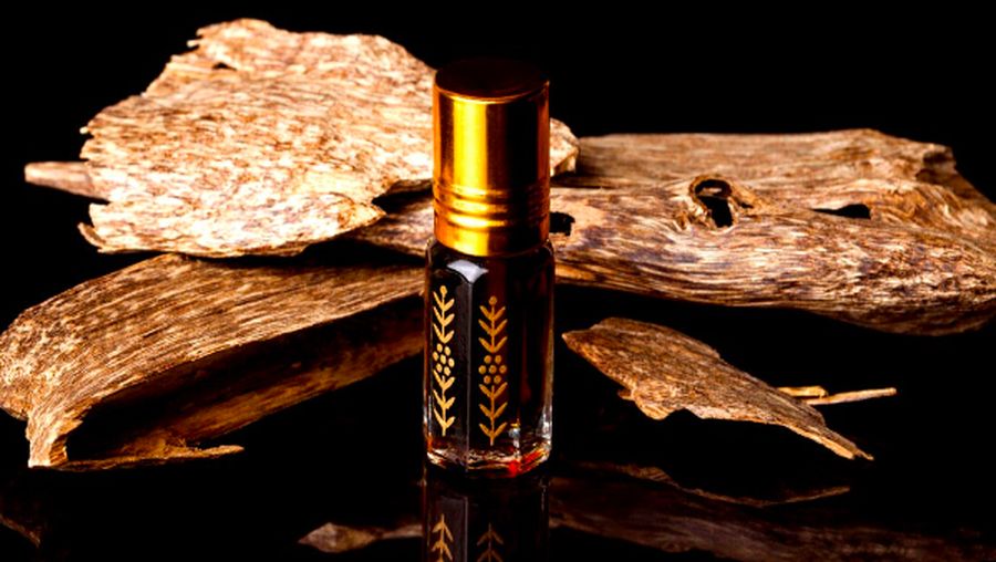 Agarwood Gaharu. Dok. Ina Export