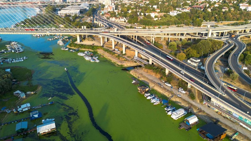 A drone image shows rowers training in the River Sava's inlet, where water has been covered with algae that thrive in warm and polluted environment in Belgrade, Serbia, September 2, 2024. REUTERS/Djordje Kojadinovic