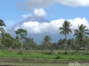 Gunung Semeru 3 Kali Erupsi Pagi Ini, Visual Letusan Tak Teramati