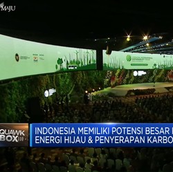 Jokowi: Perubahan Iklim Sulit Diatasi Tanpa Investasi Negara Maju