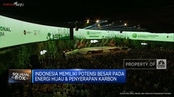 Jokowi: Perubahan Iklim Sulit Diatasi Tanpa Investasi Negara Maju