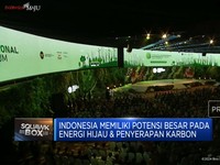 Jokowi: Perubahan Iklim Sulit Diatasi Tanpa Investasi Negara Maju