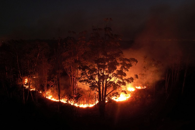 Pemandangan drone menunjukkan kebakaran hutan di area Hutan Nasional Brasilia, di Brasilia, Brasil, 4 September 2024. Pemandangan drone menunjukkan kebakaran hutan di area Hutan Nasional Brasilia, di Brasilia, Brasil, 4 September 2024. (REUTERS/Adriano Machado)