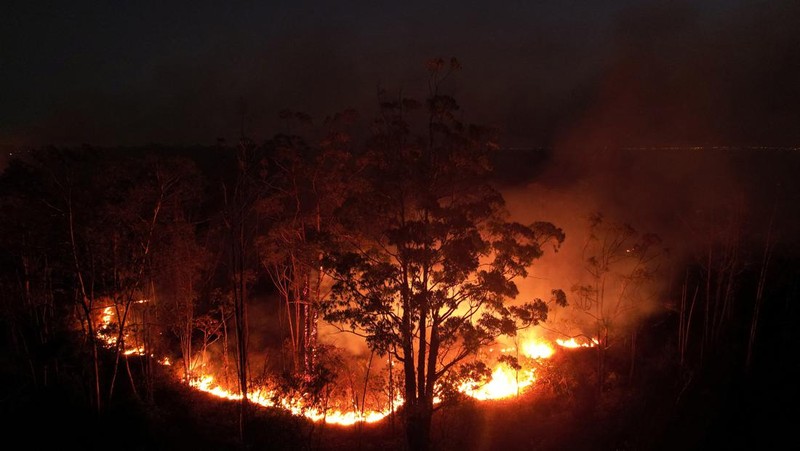 Pemandangan drone menunjukkan kebakaran hutan di area Hutan Nasional Brasilia, di Brasilia, Brasil, 4 September 2024. (REUTERS/Adriano Machado)