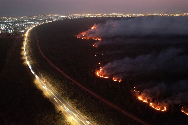 Pemandangan drone menunjukkan kebakaran hutan di area Hutan Nasional Brasilia, di Brasilia, Brasil, 4 September 2024. Pemandangan drone menunjukkan kebakaran hutan di area Hutan Nasional Brasilia, di Brasilia, Brasil, 4 September 2024. (REUTERS/Adriano Machado)