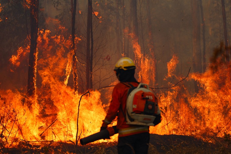 Pemandangan drone menunjukkan kebakaran hutan di area Hutan Nasional Brasilia, di Brasilia, Brasil, 4 September 2024. Pemandangan drone menunjukkan kebakaran hutan di area Hutan Nasional Brasilia, di Brasilia, Brasil, 4 September 2024. (REUTERS/Adriano Machado)