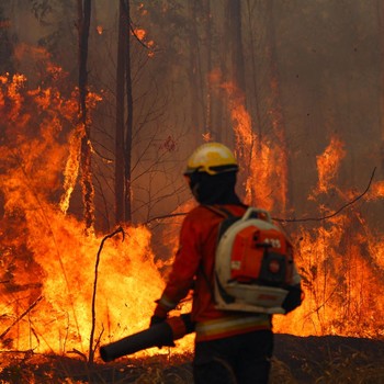 Potret 'Neraka' di Paru-Paru Dunia, Hutan Terbakar-Kondisi Mencekam
