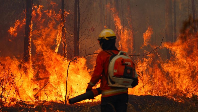 Pemandangan drone menunjukkan kebakaran hutan di area Hutan Nasional Brasilia, di Brasilia, Brasil, 4 September 2024. (REUTERS/Adriano Machado)