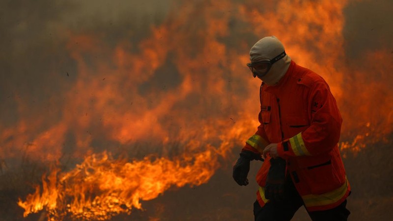 Pemandangan drone menunjukkan kebakaran hutan di area Hutan Nasional Brasilia, di Brasilia, Brasil, 4 September 2024. (REUTERS/Adriano Machado)