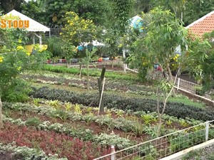 Intip Rumah Mamah Dedeh, Ada Kolam Lele hingga Kebun Anggur