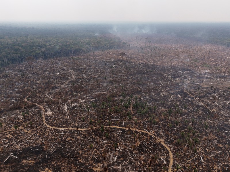 Orang-orang melihat di dekat rumah-rumah terapung yang terdampar akibat kekeringan yang melanda Rio Negro, anak sungai kiri terbesar dari Sungai Amazon, di distrik Cacau Pirera di Iranduba, negara bagian Amazonas, Brasil, 2 September 2024. Orang-orang melihat di dekat rumah-rumah terapung yang terdampar akibat kekeringan yang melanda Rio Negro, anak sungai kiri terbesar dari Sungai Amazon, di distrik Cacau Pirera di Iranduba, negara bagian Amazonas, Brasil, 2 September 2024. (REUTERS/Bruno Kelly)