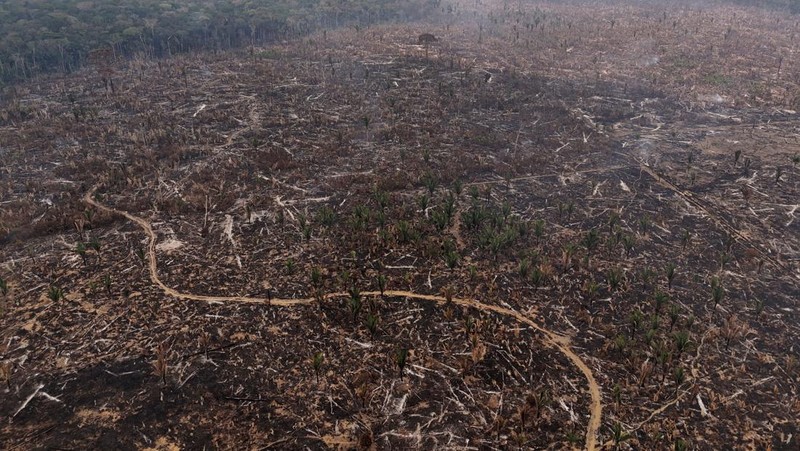 Orang-orang melihat di dekat rumah-rumah terapung yang terdampar akibat kekeringan yang melanda Rio Negro, anak sungai kiri terbesar dari Sungai Amazon, di distrik Cacau Pirera di Iranduba, negara bagian Amazonas, Brasil, 2 September 2024. (REUTERS/Bruno Kelly)