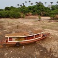 Fenomena Langka! Potret Sungai Amazon Mengering, Apa yang Terjadi?