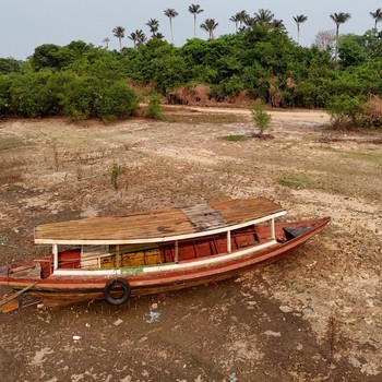 Fenomena Langka! Potret Sungai Amazon Mengering, Apa yang Terjadi?
