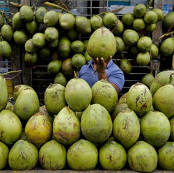 7 Waktu Terbaik Minum Air Kelapa, Jarang Orang yang Tahu