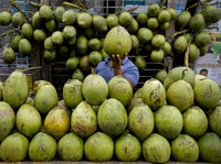 7 Waktu Terbaik Minum Air Kelapa, Jarang Orang yang Tahu