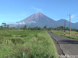 Gunung Semeru Erupsi, Luncurkan Abu Vulkanik Setinggi 500 Meter