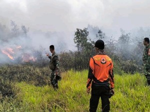Lahan di 5 Wilayah Muara Enim Terbakar, Totalnya Mencapai 86 Hektare