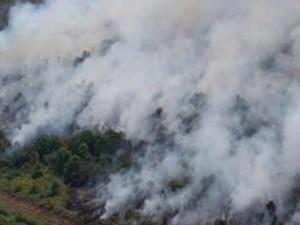 Muara Medak Muba Kembali Terbakar, Luasnya 64 Hektare
