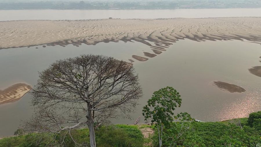 Debit air pada sungai yang mengalir pada hutan hujan tropis Amazon mengalami penyusutan. (REUTERS/Bruno Kelly)