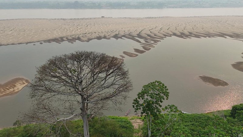 Debit air pada sungai yang mengalir pada hutan hujan tropis Amazon mengalami penyusutan. (REUTERS/Bruno Kelly)