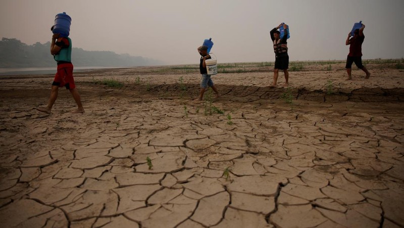 Debit air pada sungai yang mengalir pada hutan hujan tropis Amazon mengalami penyusutan. (REUTERS/Bruno Kelly)