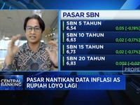 Video: Jika Suku Bunga Turun, SBN Bisa Lebih Menarik Dibanding SRBI?