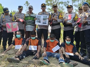 Komplotan Pencuri dan Pemutilasi Kerbau di Lumajang Digulung