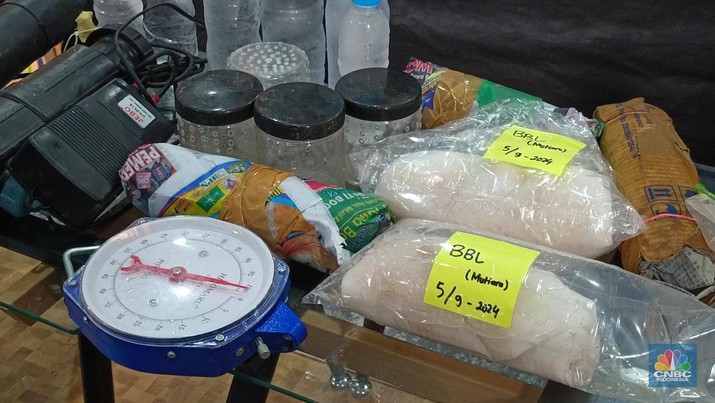 Penyelundupan benih lobster yang dibongkar KKP. (CNBC Indonesia/Martyasari Rizky)