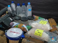 KKP Ungkap Rute Penyelundupan BBL & Kenapa Tujuan Akhir Vietnam