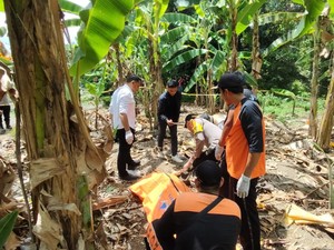 Nenek 74 Tahun Ditemukan Tewas di Kebun Pisang